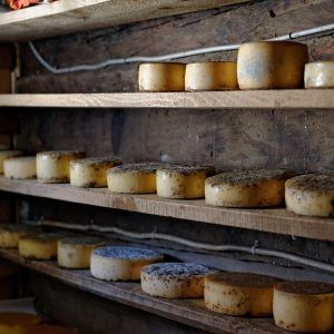Elaboración de quesos artesanales: tradición y sabor en cada mordisco